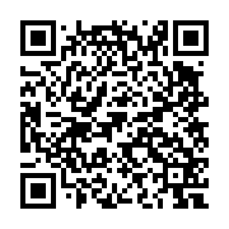QR code for LIR462