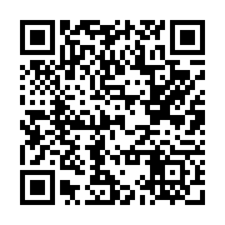 QR code for LIR463