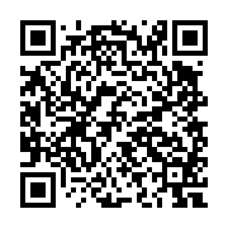 QR code for LIR484