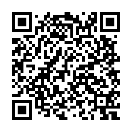 QR code for LIR510