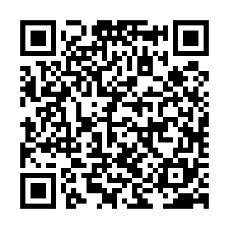 QR code for LIR575