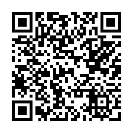 QR code for LIR666