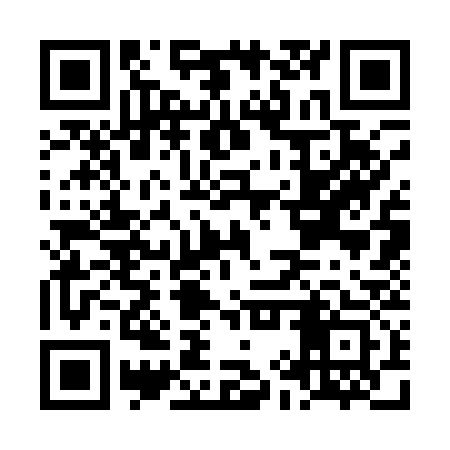 QR code for LIS133