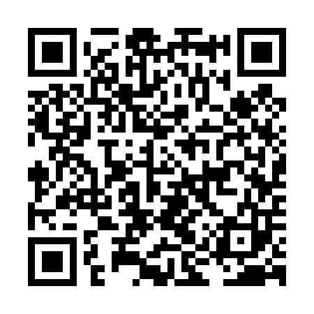 QR code for LIS403