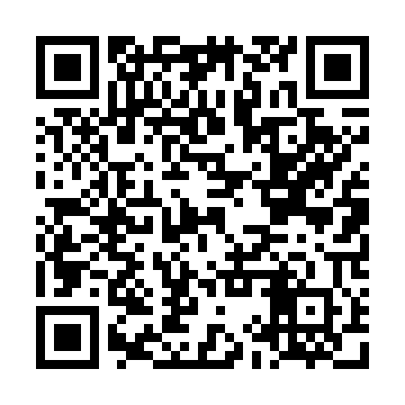 QR code for LIT700