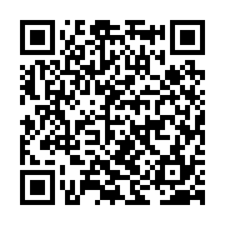 QR code for LIU234