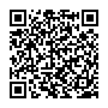 QR code for LIU533