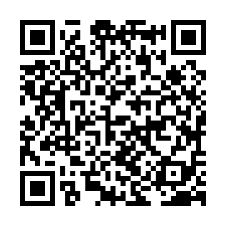 QR code for LIZ119
