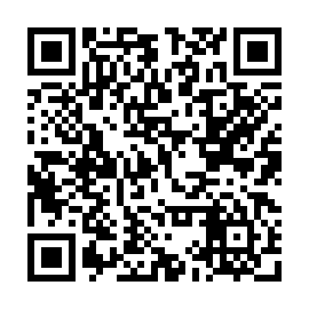 QR code for LIZ385