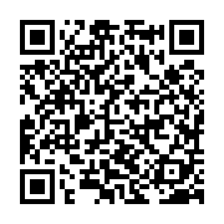 QR code for LIZ509