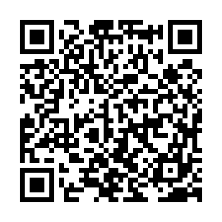 QR code for LIZ577