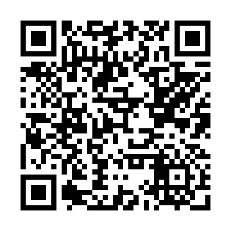 QR code for LIZ636