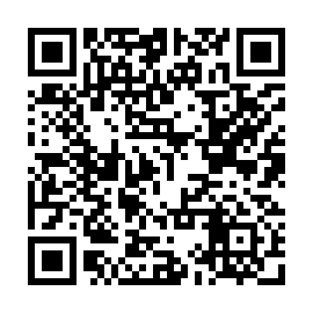 QR code for LIZ931