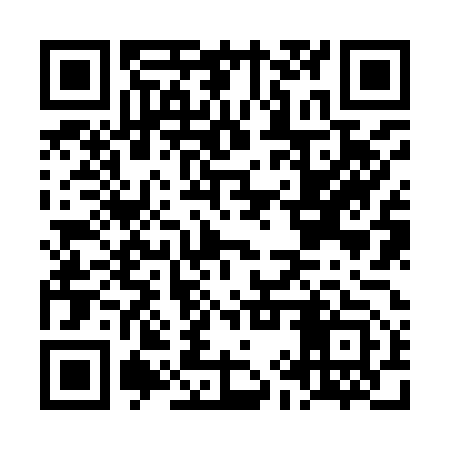 QR code for LIZ953
