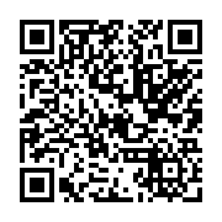 QR code for LJN226