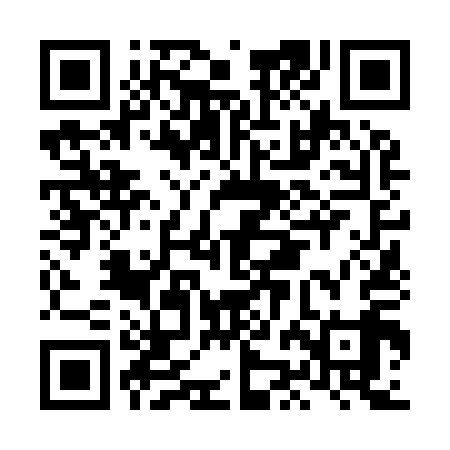 QR code for LJN919