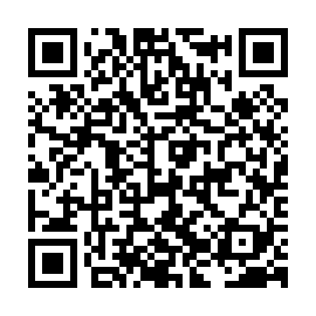 QR code for LJS029