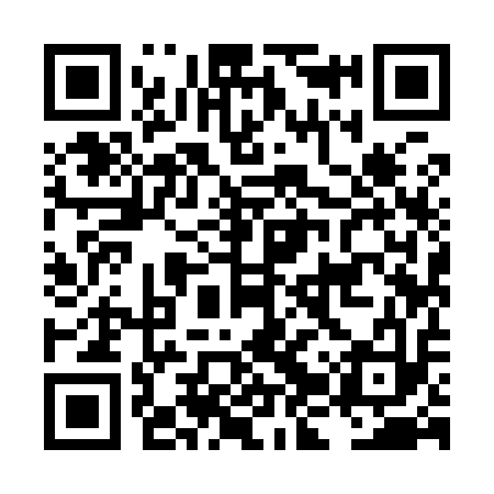 QR code for LJY913