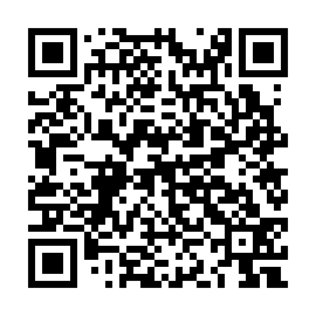 QR code for LKG333
