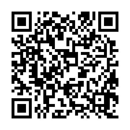 QR code for LKG386