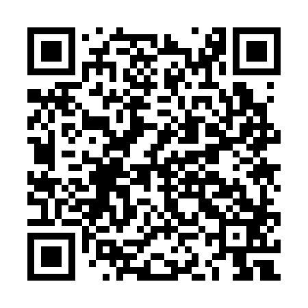 QR code for LKK383