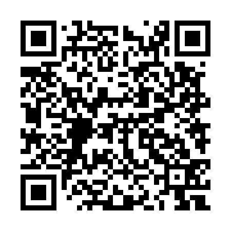 QR code for LKN533