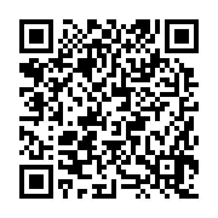 QR code for LKP386