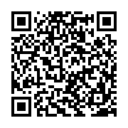 QR code for LKR336