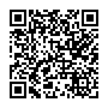 QR code for LKR387