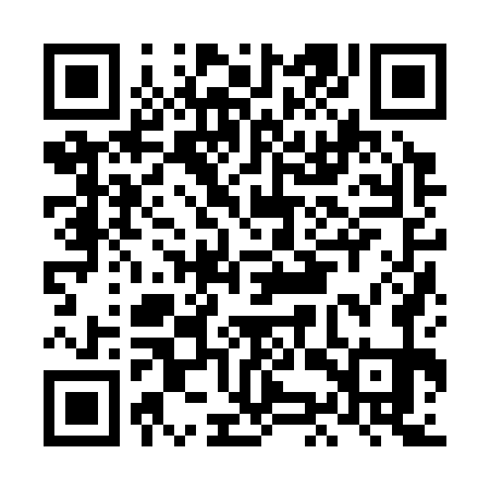 QR code for LKZ371