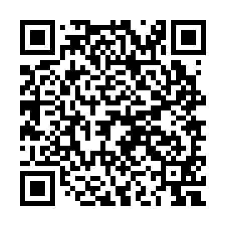 QR code for LKZ391