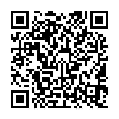 QR code for LLM951