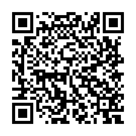 QR code for LLQ953