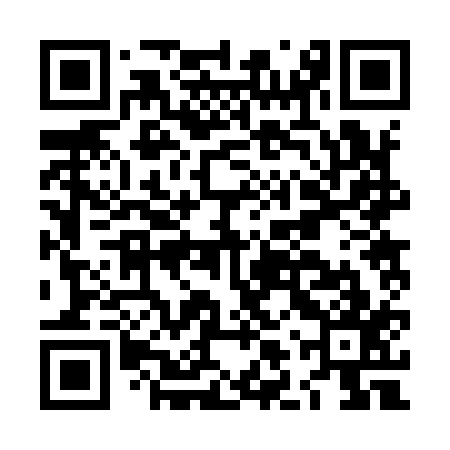 QR code for LLR917