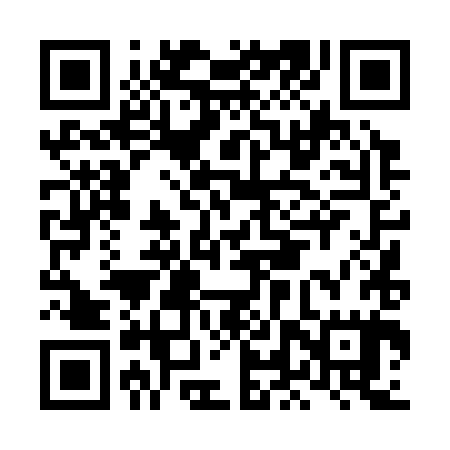 QR code for LLT385