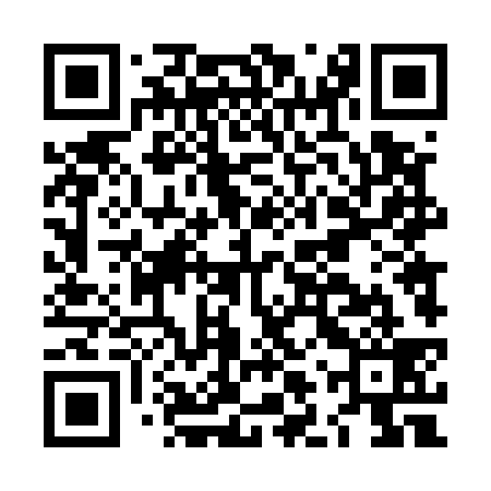 QR code for LLT539