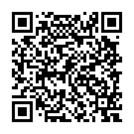 QR code for LLX095