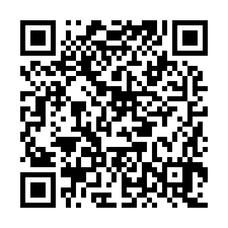 QR code for LLZ987