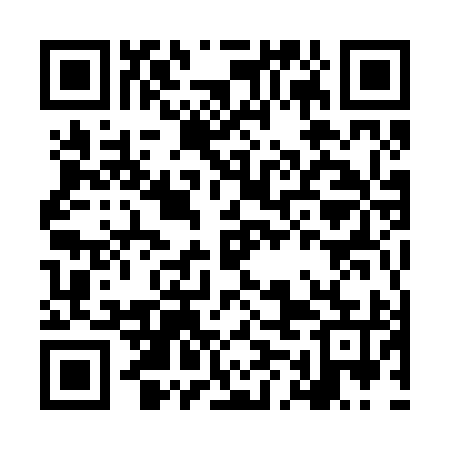 QR code for LMM295