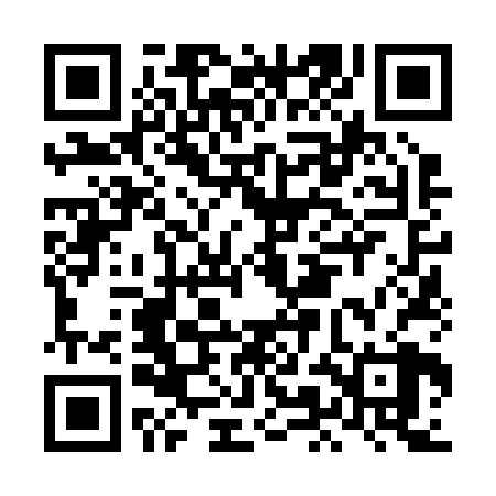 QR code for LMN228