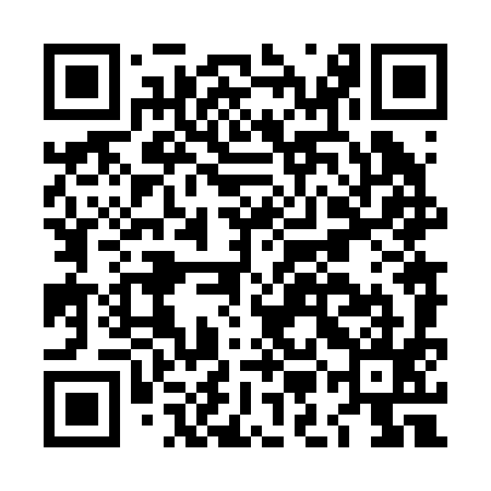 QR code for LMN295