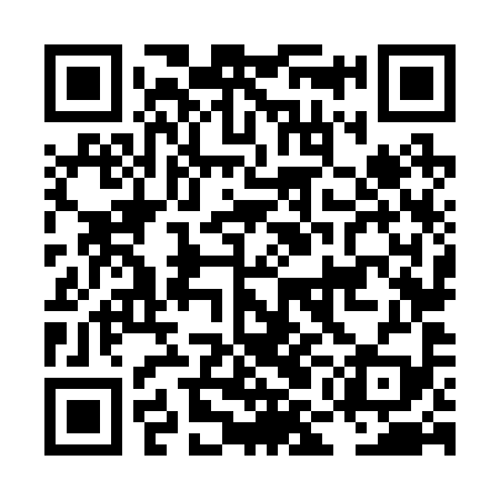 QR code for LMN299