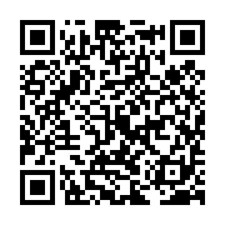 QR code for LMY491
