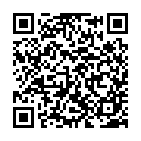 QR code for LNG387