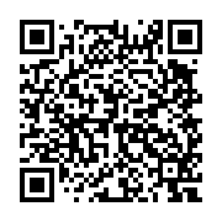 QR code for LNG496