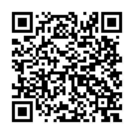 QR code for LNG523