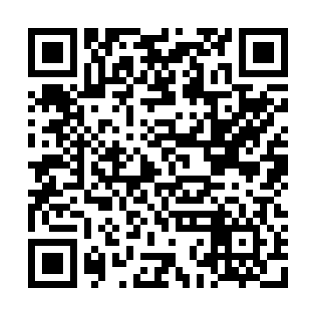 QR code for LNK206