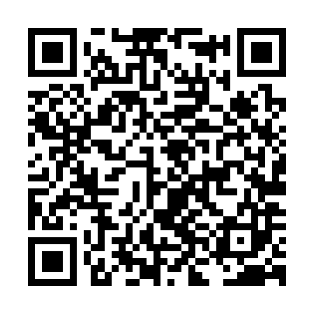 QR code for LNL383