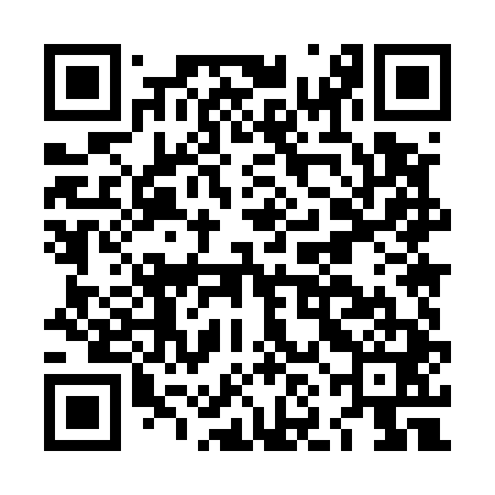 QR code for LNM541