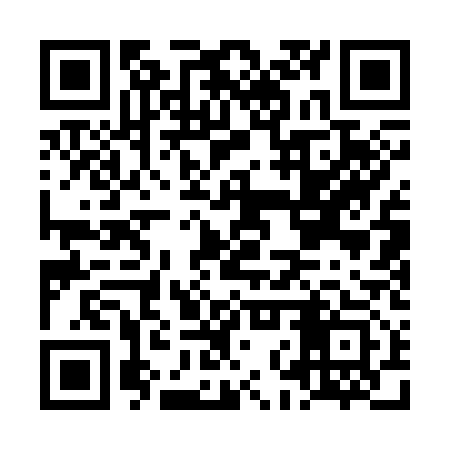 QR code for LNQ313